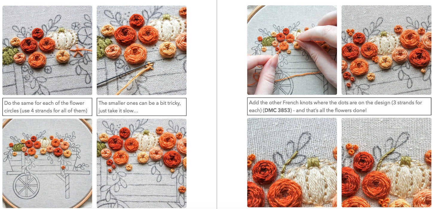 Screenshot of the included stitch guide showing step-by-step embroidery instructions with photos